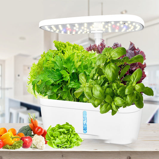 Indoor Herb Garden System