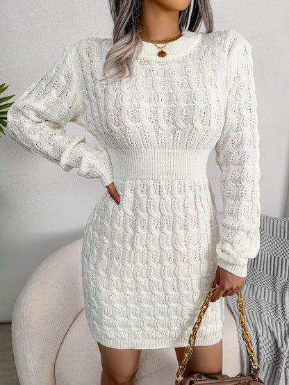 Casual Knit Waist Cinched Bodycon Sweater Dress