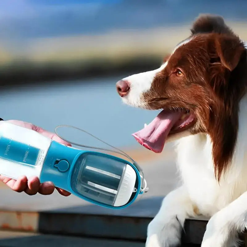 3 in 1 Dog Drinking & Food Cup