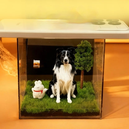 Pet Holographic Projection