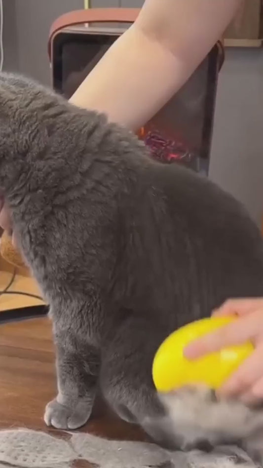 Steam Pet Hair Brush