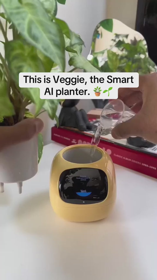 Smart Planter