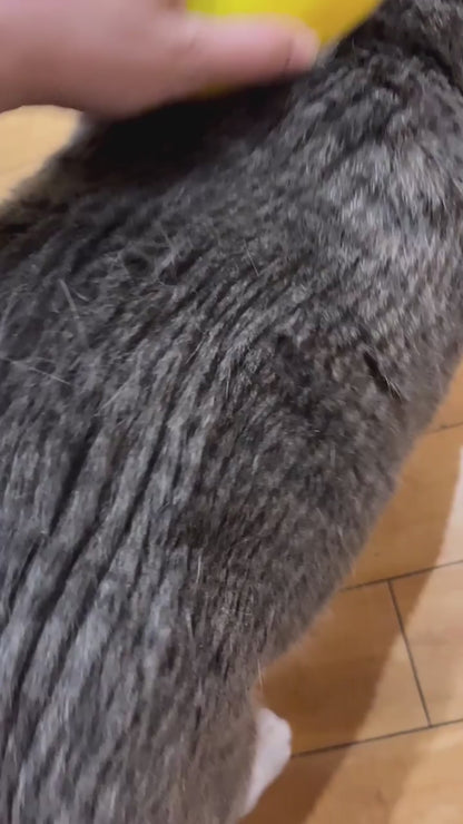 Steam Pet Hair Brush